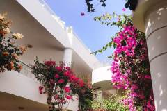 IMG_20230408_153115