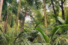 IMG_20230920_130817