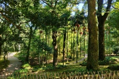 IMG_20230923_121521