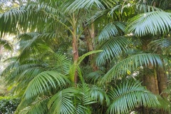 IMG_20230923_130522