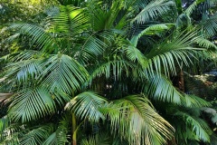 IMG_20230923_131226