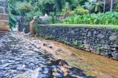IMG_20230923_172658