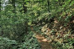 IMG_20230527_093937