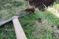 IMG_20200701_172434