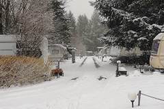IMG_20210106_140052