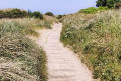 IMG_20230608_162103