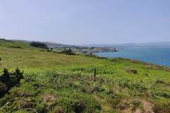 IMG_20230609_132750