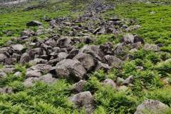 IMG_20230610_124920