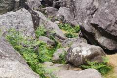 IMG_20230610_125740