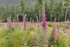 IMG_20230610_150506