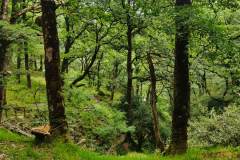 IMG_20230610_151824