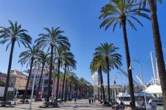 IMG_20230906_111226