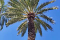 IMG_20230906_111234