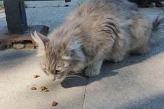 IMG_20240617_162058