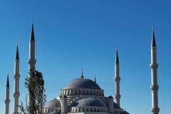 IMG-20240619-WA0008