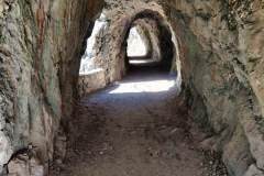 IMG_20220921_132740