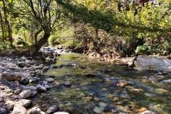 IMG_20220921_141803